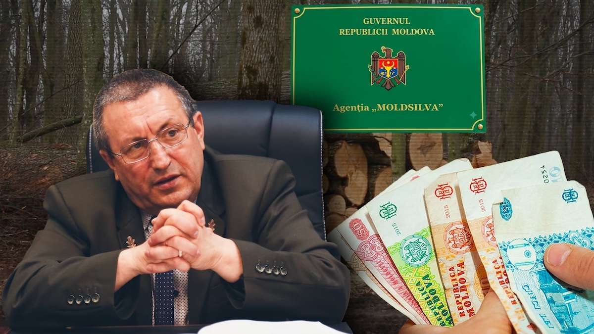 Fostul șef al „Moldsilva”, obligat să restituie statului cei 66 mii de lei - agroexpert.md