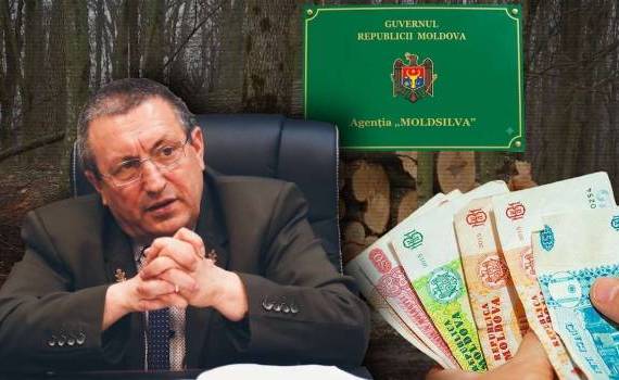 Fostul șef al „Moldsilva”, obligat să restituie statului cei 66 mii de lei - agroexpert.md