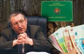 Fostul șef al „Moldsilva”, obligat să restituie statului cei 66 mii de lei - agroexpert.md