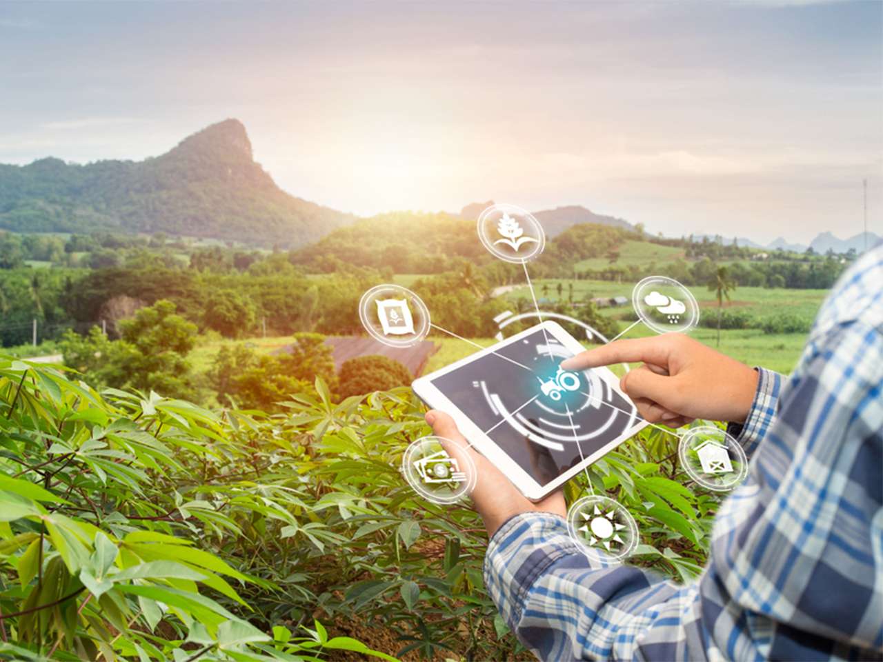 UTM oferă un program MBA pentru specialiștii din agribusiness - agroexpert.md