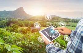 UTM oferă un program MBA pentru specialiștii din agribusiness - agroexpert.md