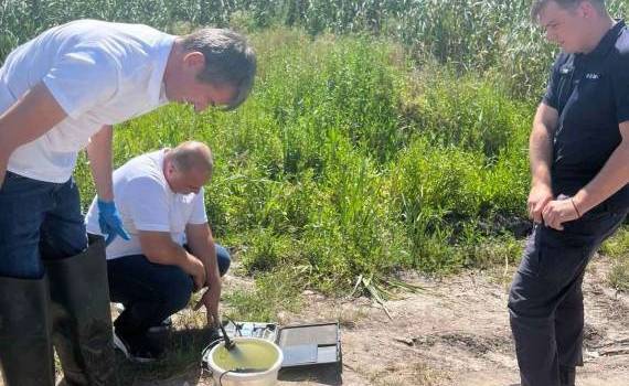Pești morți în lacul Dănceni. Inspectorii de mediu au prelevat probe de apă - agroexpert.md