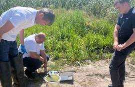 Pești morți în lacul Dănceni. Inspectorii de mediu au prelevat probe de apă - agroexpert.md