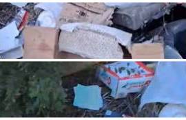 Groapă de gunoi în viile din Durlești. Localnicii cer măsuri de la autorități - agroexpert.md