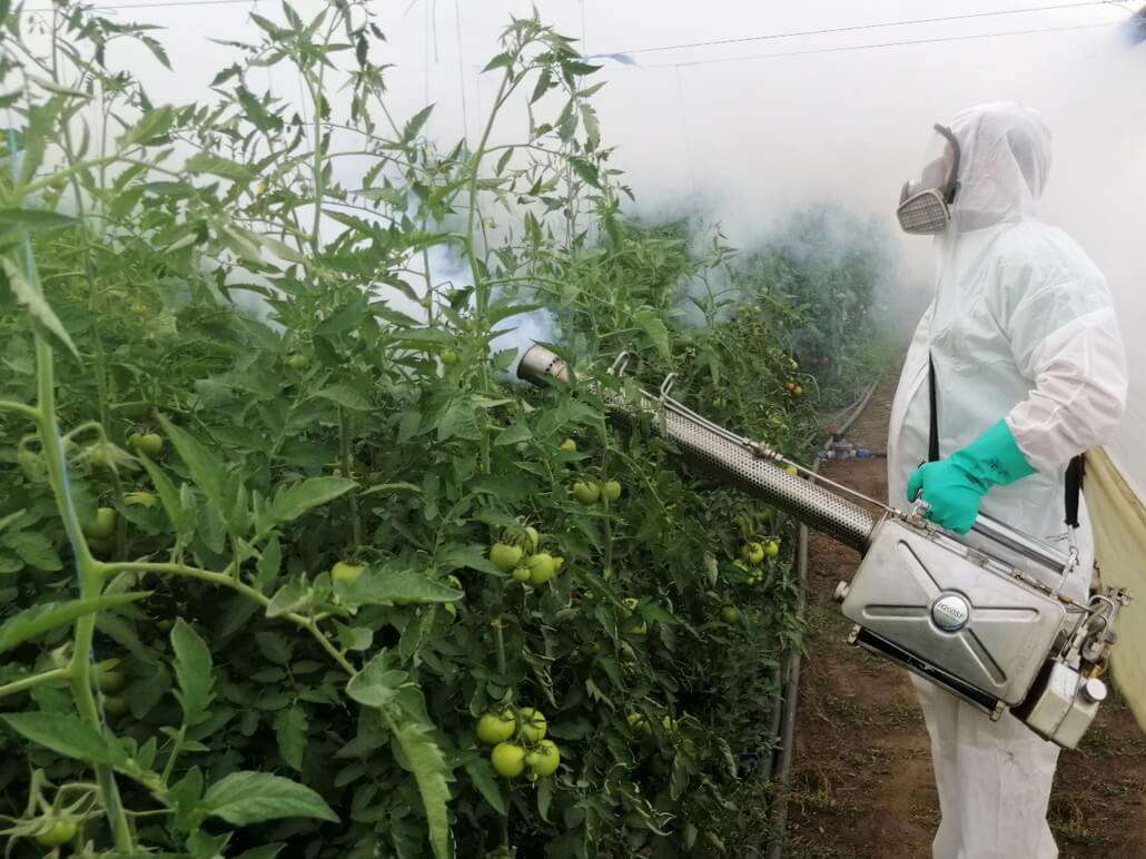 Evidența tratamentelor fitosanitare: ce trebuie să știe fermierii - agroexpert.md