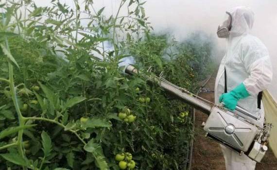Evidența tratamentelor fitosanitare: ce trebuie să știe fermierii - agroexpert.md