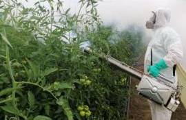 Evidența tratamentelor fitosanitare: ce trebuie să știe fermierii - agroexpert.md
