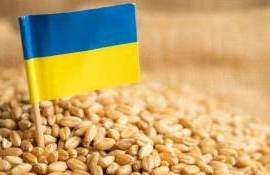 Reducere de 50% la tranzitul feroviar din Ucraina - agroexpert.md