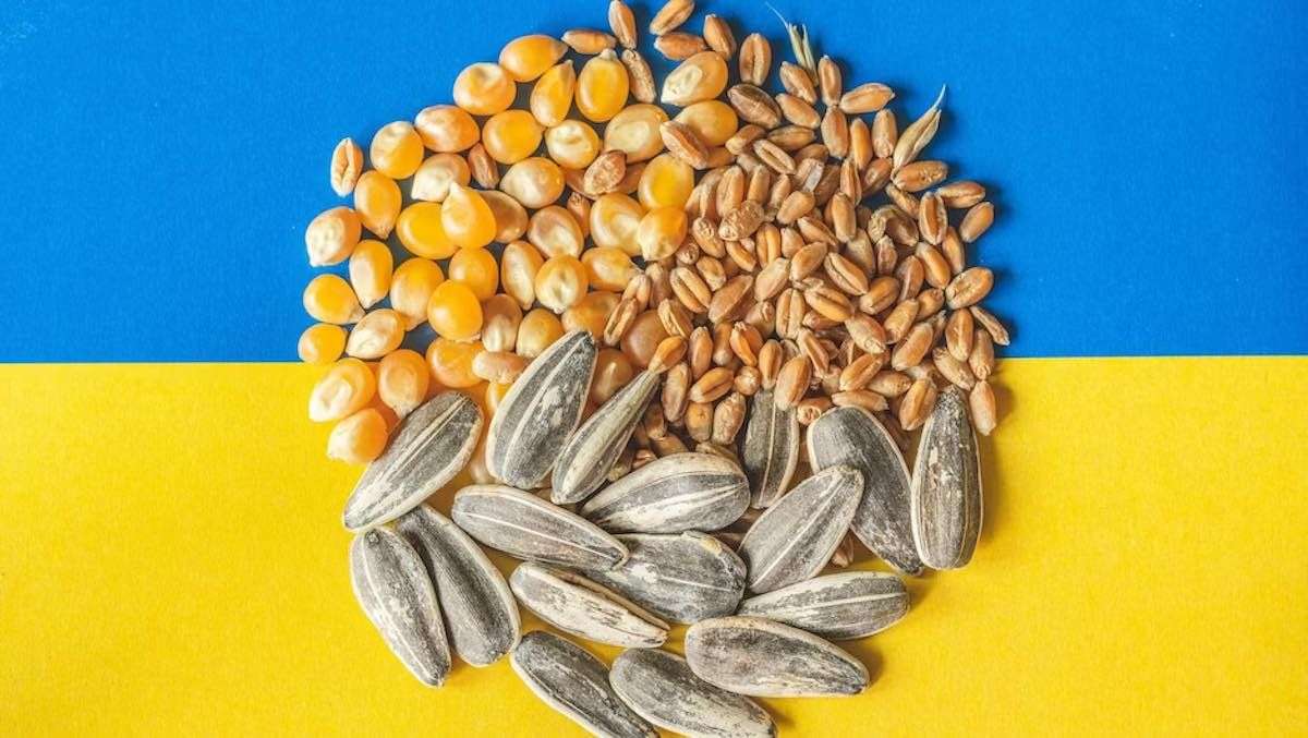 Ce ar însemna pentru R. Moldova tranzitul cerealelor ucrainene - agroexpert.md