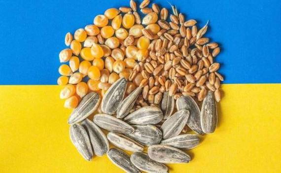 Ce ar însemna pentru R. Moldova tranzitul cerealelor ucrainene - agroexpert.md