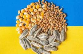 Ce ar însemna pentru R. Moldova tranzitul cerealelor ucrainene - agroexpert.md