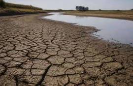 В Нидерландах ограничили использование воды для полива в теплицах - agroexpert.md