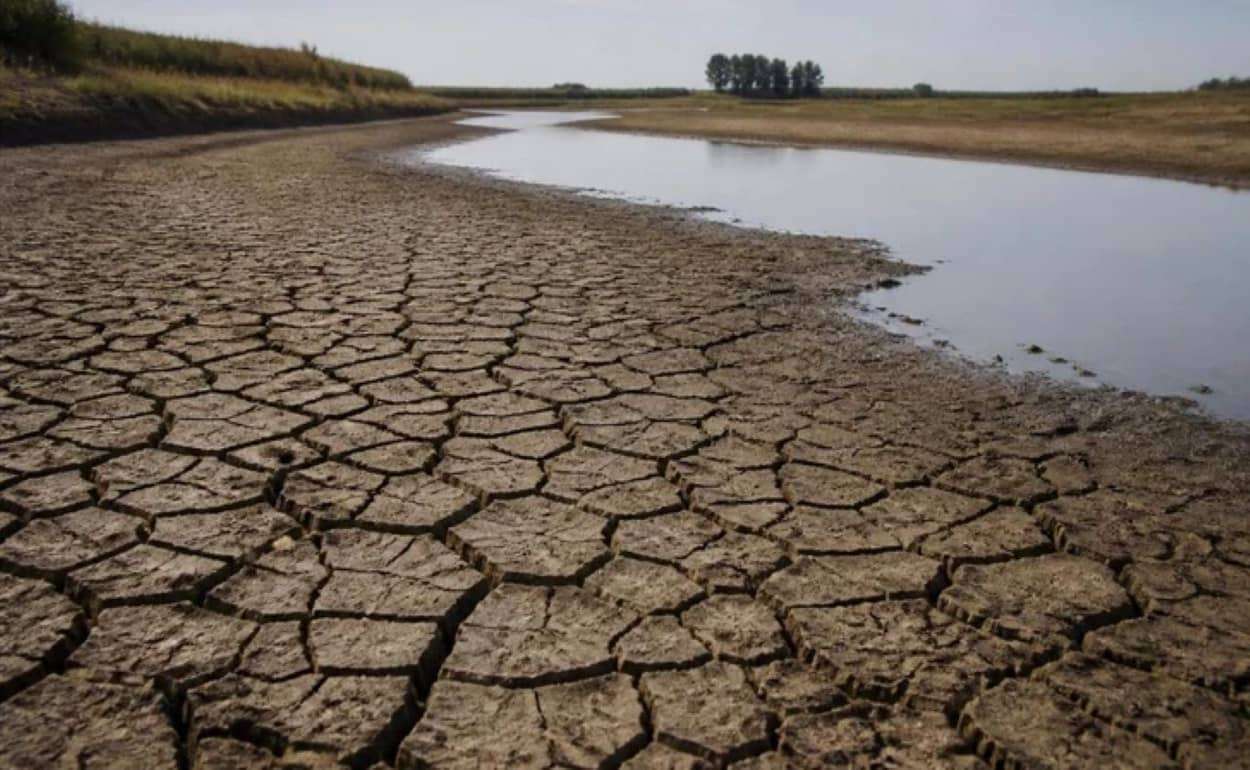 В Нидерландах ограничили использование воды для полива в теплицах - agroexpert.md
