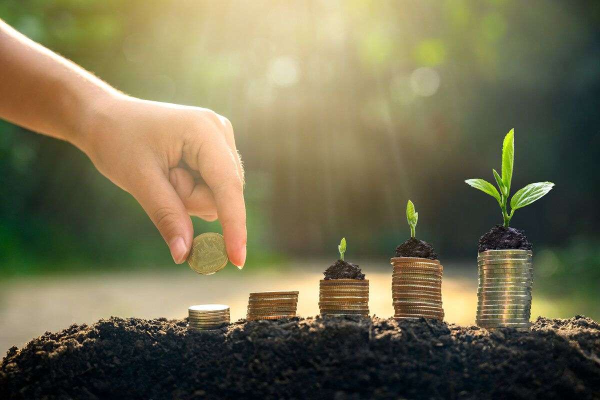 Câți bani au primit fermierii în prima jumătate a anului? Date de la AIPA - agroexpert.md
