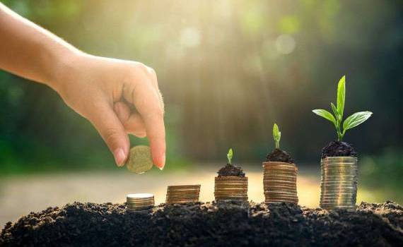 Câți bani au primit fermierii în prima jumătate a anului? Date de la AIPA - agroexpert.md