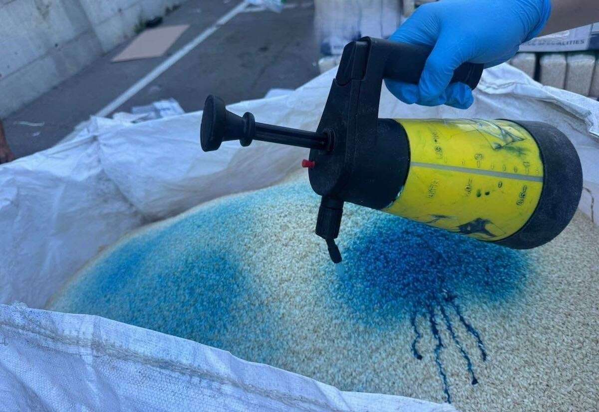 Trei tone de orez importat, nimicite după depistarea unor neconformități - agroexpert.md