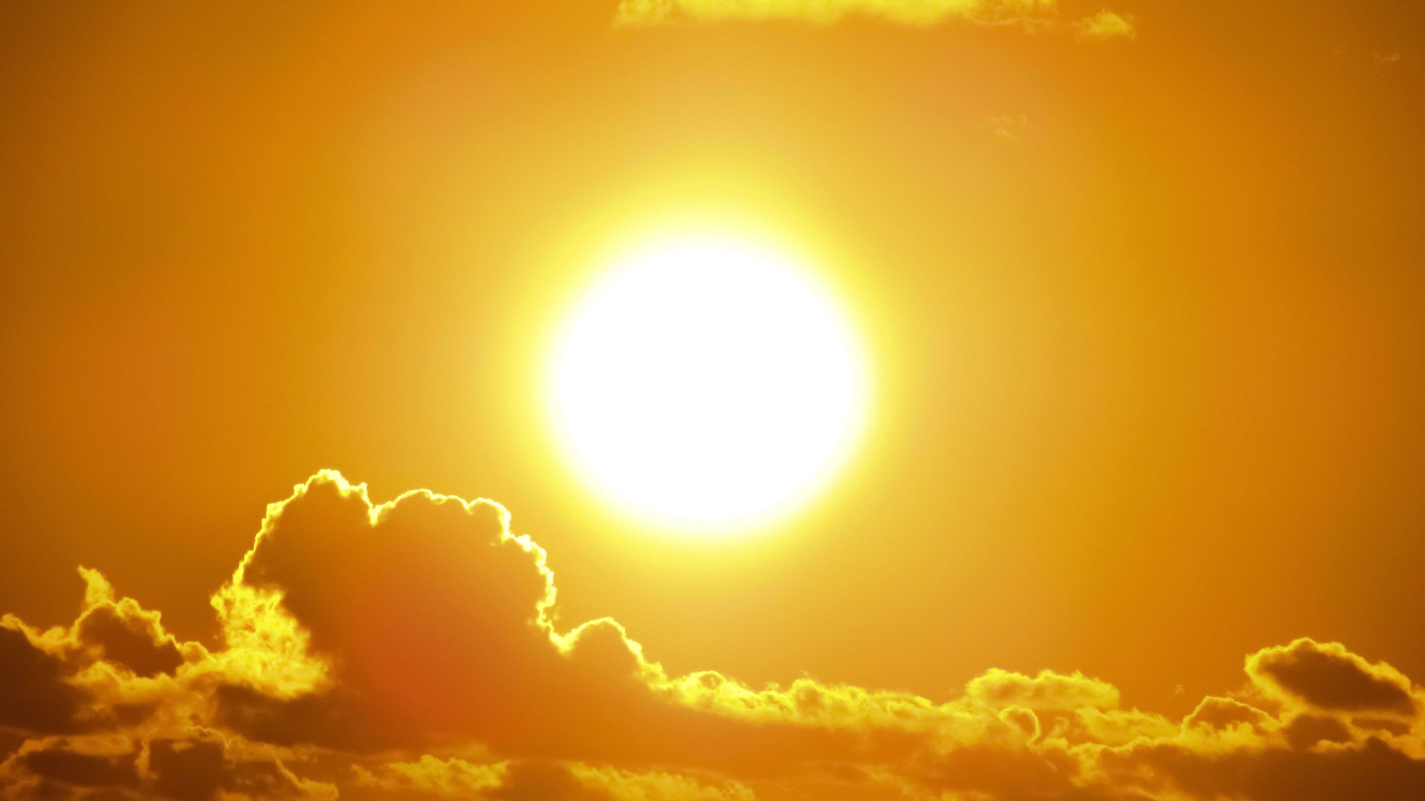 Caniculă în toată R. Moldova: temperaturile vor ajunge la 36°C - agroexpert.md