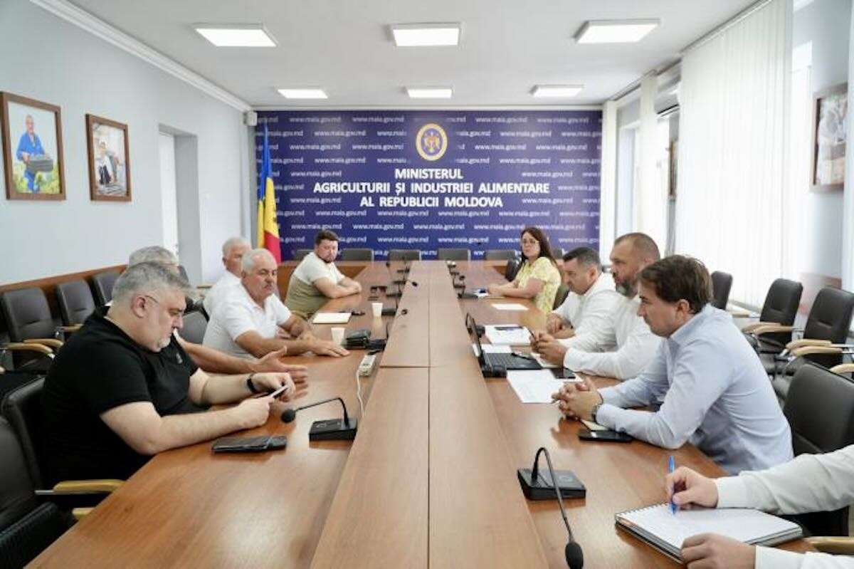 Recolta și importurile de cereale, în atenția autorităților - agroexpert.md