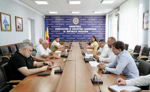 Recolta și importurile de cereale, în atenția autorităților - agroexpert.md
