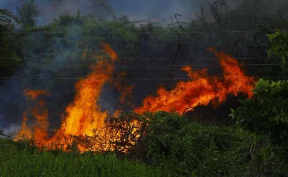 Incendiu la Copăceni: flăcările au ajuns în fondul forestier - agroexpert.md