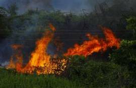 Incendiu la Copăceni: flăcările au ajuns în fondul forestier - agroexpert.md