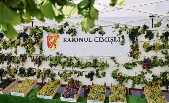 Festivalul Național al Strugurelui revine la Cimișlia. Agenda evenimentului - agroexpert.md