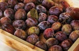 Prunele se vând mai ieftin decât anul trecut. Ce preț au în acest sezon - agroexpert.md