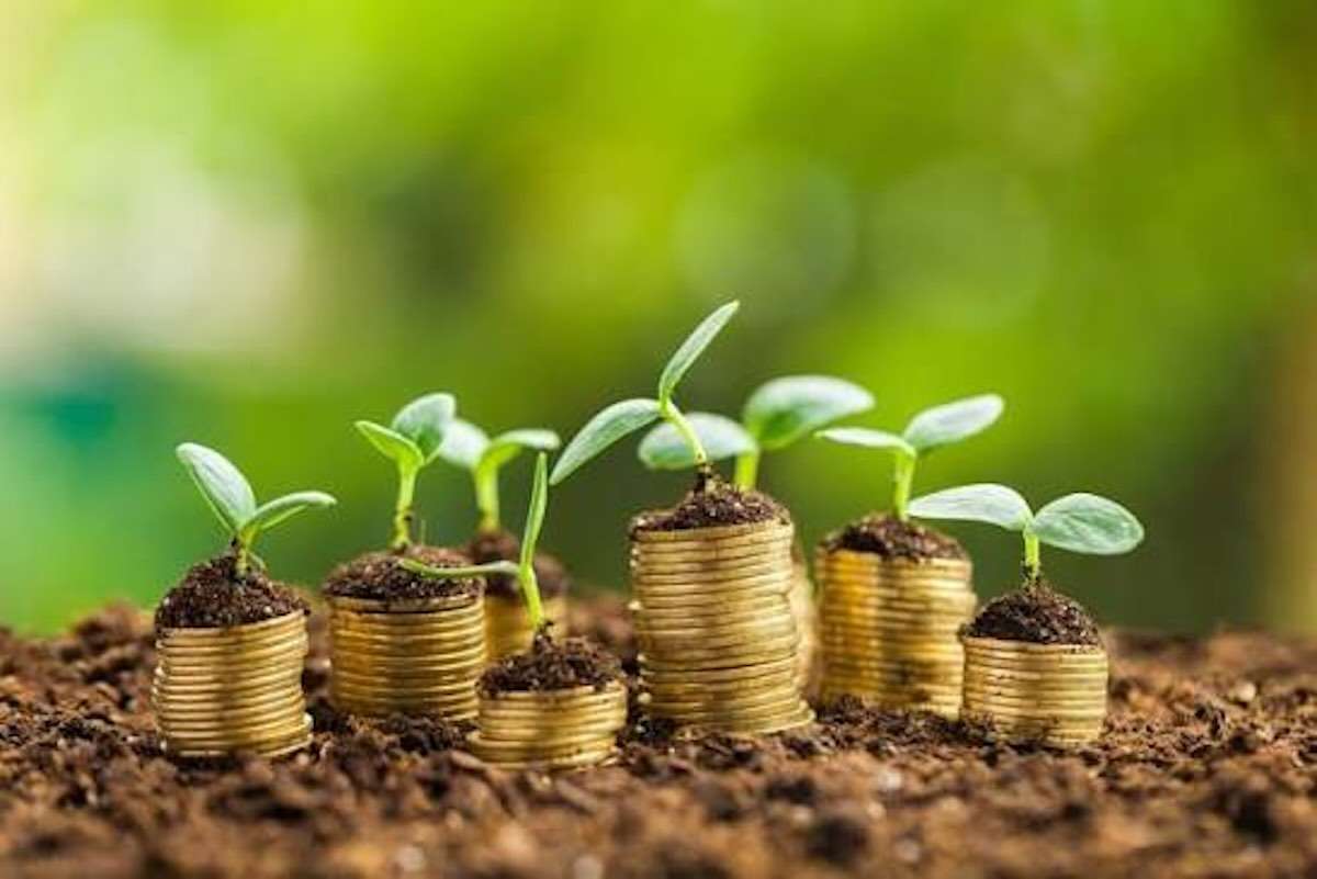 Peste 22 de milioane de lei, autorizați de AIPA pentru agricultură - agroexpert.md