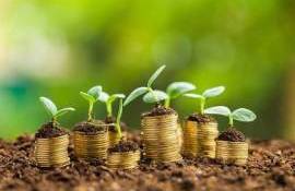 Peste 22 de milioane de lei, autorizați de AIPA pentru agricultură - agroexpert.md