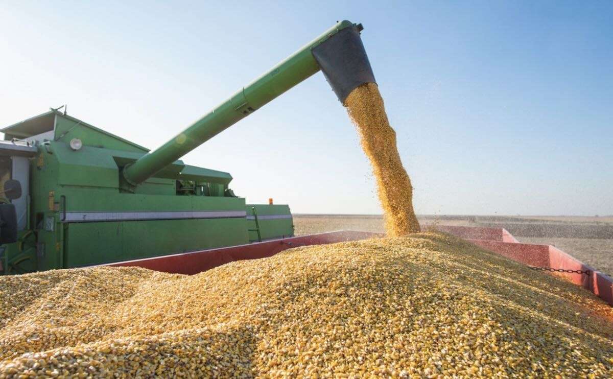 Forța Fermierilor cere prelungirea mecanismului de licențiere - agroexpert.md