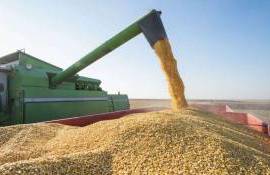 Forța Fermierilor cere prelungirea mecanismului de licențiere - agroexpert.md
