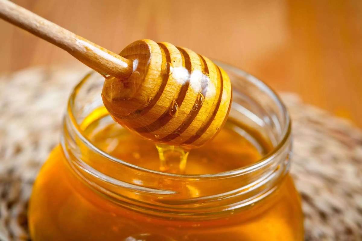An bun pentru apicultori: peste 5.000 de tone de miere și prețuri mai mari - agroexpert.md