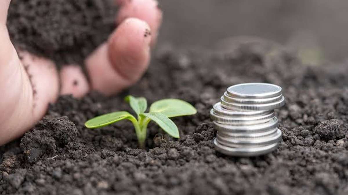 Peste 300 de cereri și 82,19 milioane de lei, autorizate de AIPA - agroexpert.md