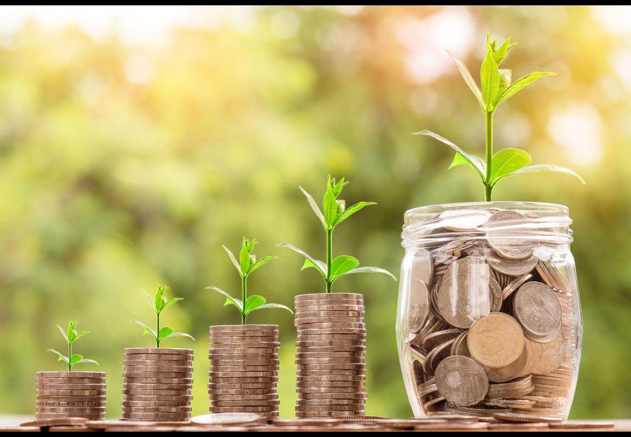 769 afaceri agricole au primit finanțare prin Programul FCA - agroexpert.md