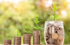 769 afaceri agricole au primit finanțare prin Programul FCA - agroexpert.md