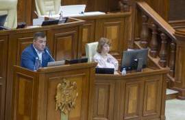 Licențierea importului de cereale și oleaginoase, votată în prima lectură - agroxpert.md
