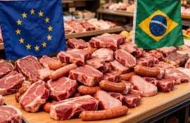 ЕС приостанавливает импорт мяса из Бразилии из-за обнаружения антибиотиков - agroexpert.md