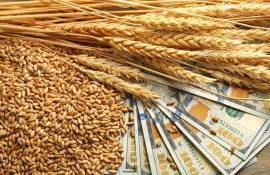 Засуха в Западной Европе вызвала рост цен на пшеницу на 23–30 процентов - agroexpert.md