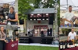 Festivalul Vinului de Autor continuă tot weekendul - agroexpert.md