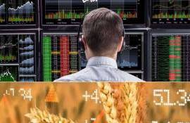Пшеница в Чикаго продолжает дешеветь после рекордного падения - agroexpert.md