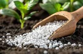 В Дании введут ограничения на использование азотных удобрений - agroexpert.md
