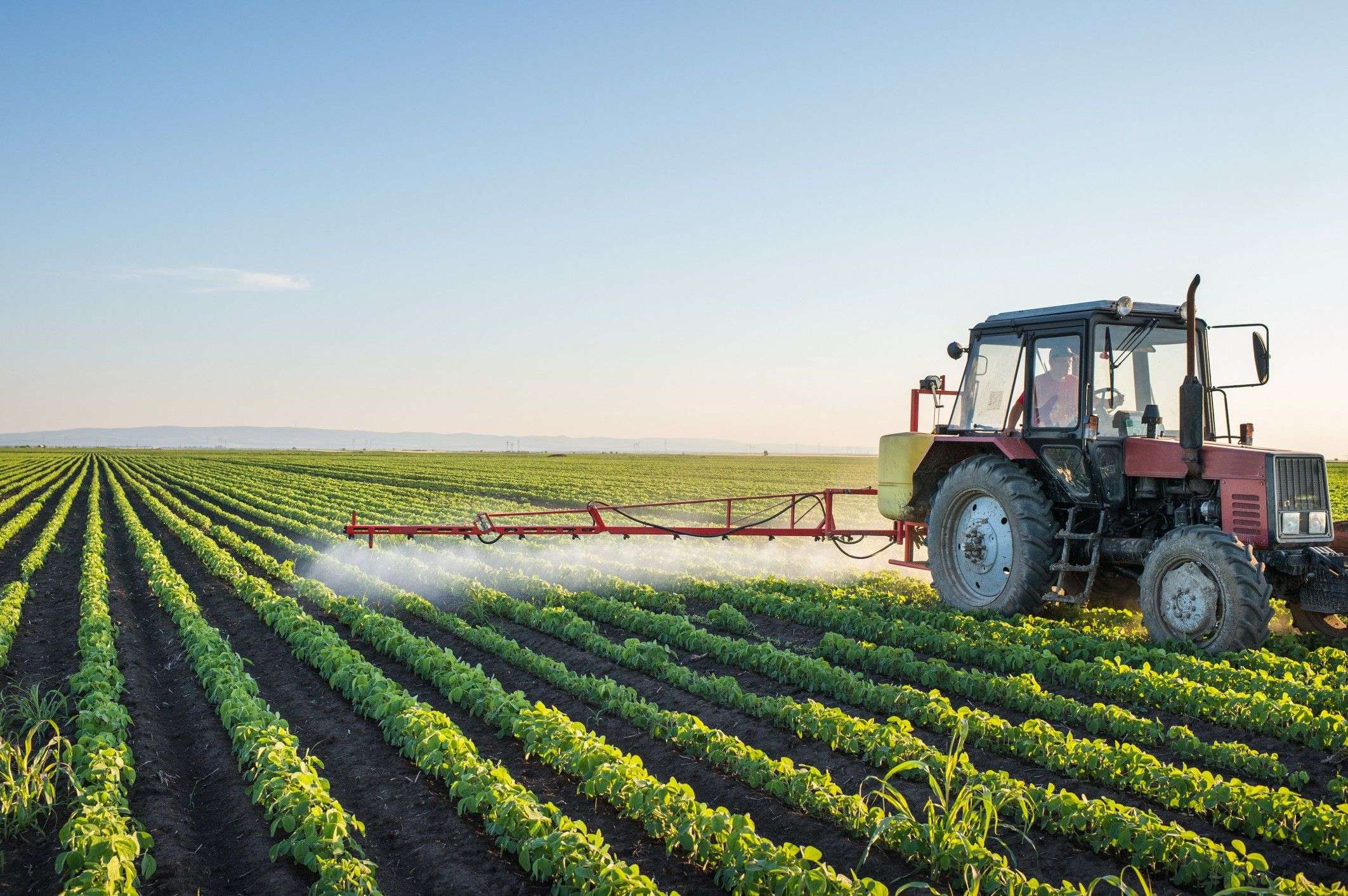 Soluții noi pentru agricultura Republicii Moldova. Ce propune Osmochescu - agroexpert.md