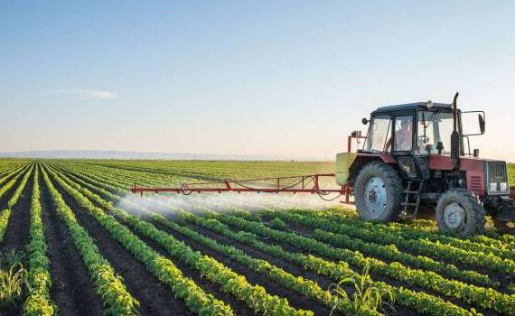 Soluții noi pentru agricultura Republicii Moldova. Ce propune Osmochescu - agroexpert.md