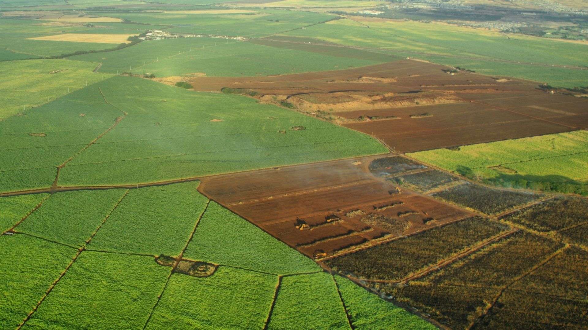 Peste 20 de terenuri agricole, scoase la arendă prin licitație cu strigare - agroexpert.md