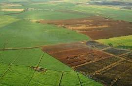 Peste 20 de terenuri agricole, scoase la arendă prin licitație cu strigare - agroexpert.md