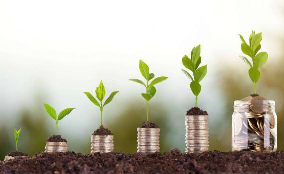 Subvenții: 3,9 milioane de lei, autorizate de AIPA pentru agricultori - agroexpert.md