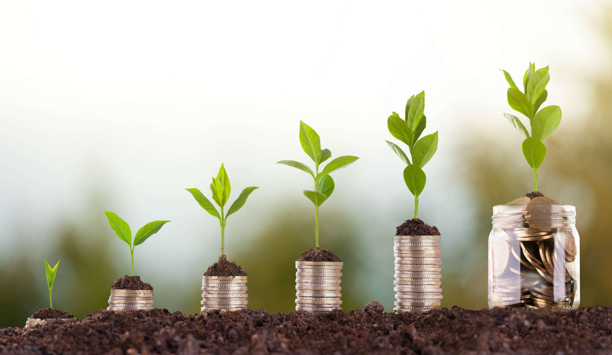 Subvenții: 3,9 milioane de lei, autorizate de AIPA pentru agricultori - agroexpert.md