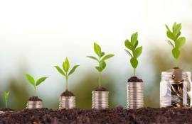 Subvenții: 3,9 milioane de lei, autorizate de AIPA pentru agricultori - agroexpert.md