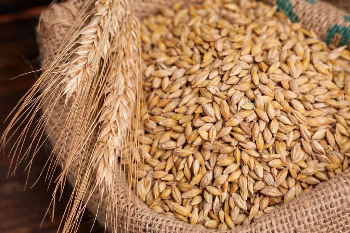Азиатские импортеры пшеницы уходят от Черноморского региона - agroexpert.md