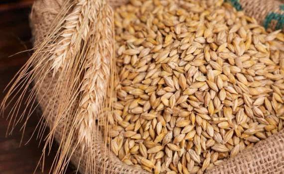 Азиатские импортеры пшеницы уходят от Черноморского региона - agroexpert.md